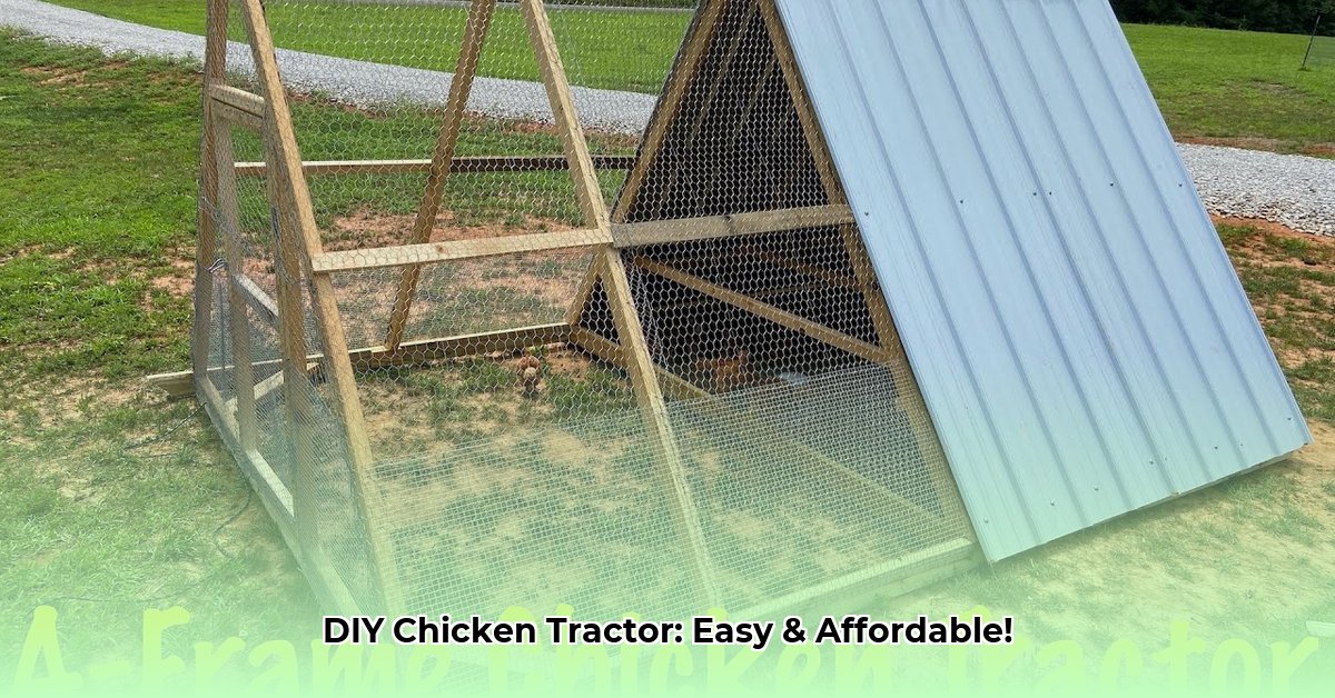 chicken-tractor-plans-a-frame
